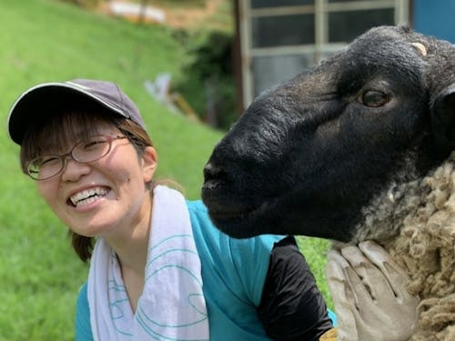 めえめえ牧場場長と羊