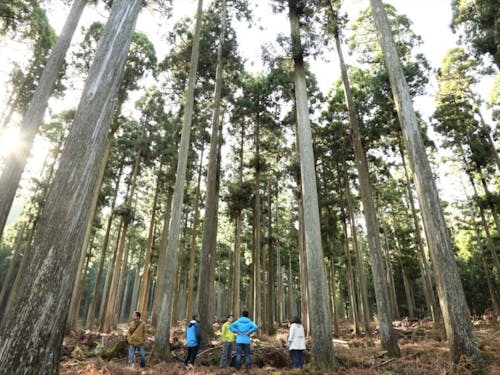 西粟倉村は面積の約93％が森林の地域です