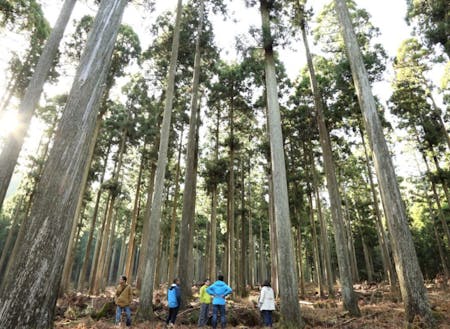 西粟倉村は面積の約93％が森林の地域です
