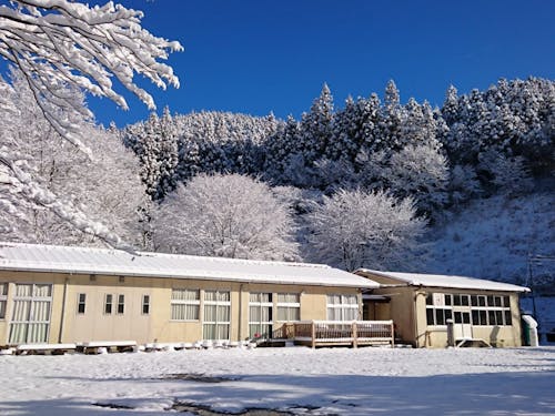 廃校となった分校を活用した、ふるさとカフェ「矢塚分校」