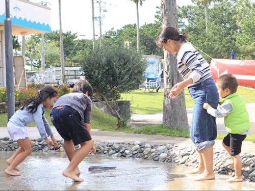 浜名湖の畔にある「海湖館」では魚の掴み取りが出来ます。