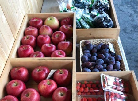 季節の恵みを味わう日常