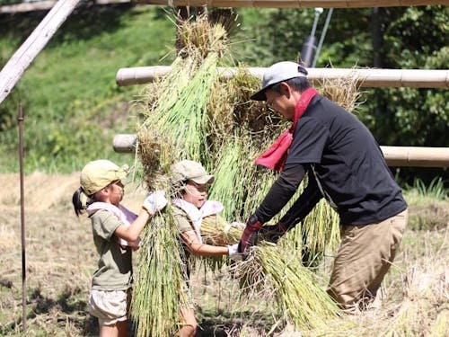 「雲南つながる体験プログラム」で農業体験をサポート
