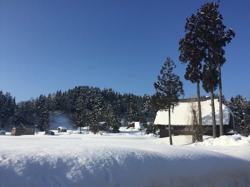 和紙工房のある高柳町はこんな美しい景色も。