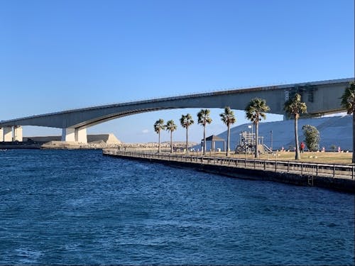 海湖館から見える景色