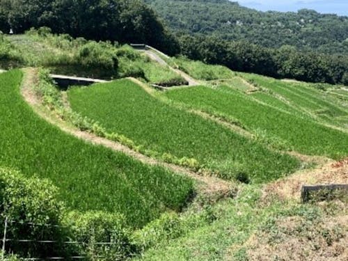 香川の魅力ある自然