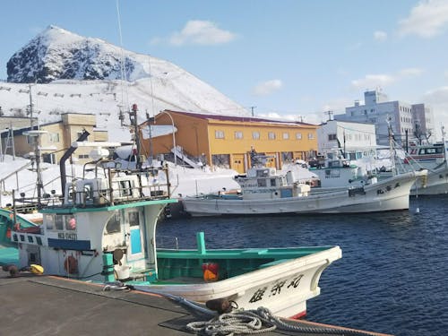 夏はもちろん、冬の海の景色も美しいです。