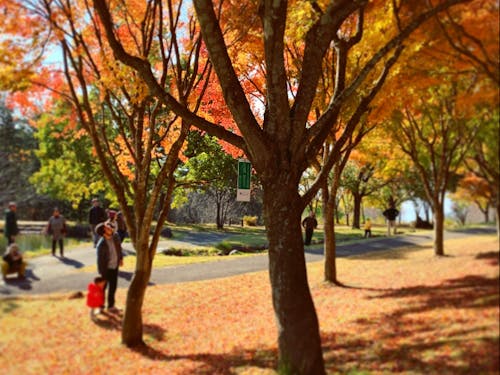 季節の移り変わりも日々の愉しみです