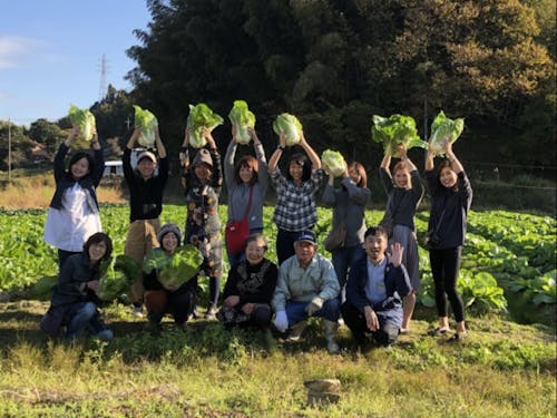 大地の恵みにより多様な地物野菜と出会えます