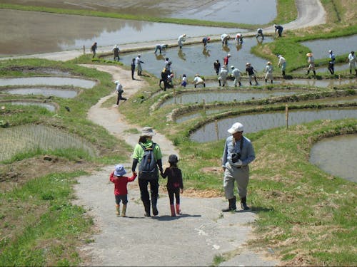 飯田市千代地区。棚田百選の一つである「よこね田んぼ」があります