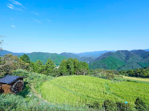 移住者に人気の地域「中辺路町高原」