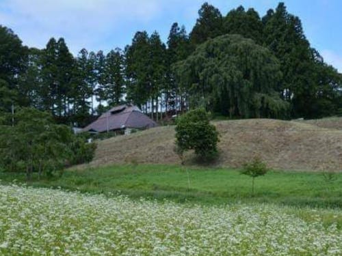 そばで地域活性化とかやっているエリアです。