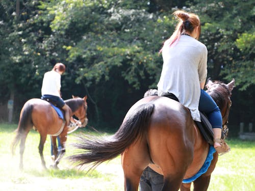 南相馬市で乗馬