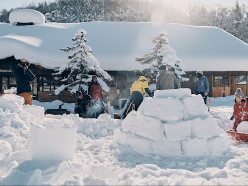 雪のブロックでつくるイグルーづくり体験など、冬のコンテンツが充実