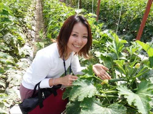 まだ小さくて可愛いズッキーニ