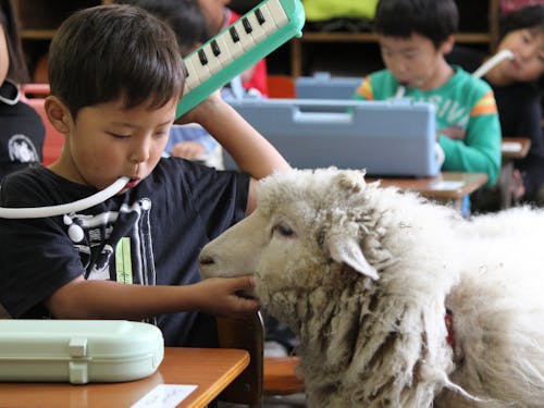 教育環境を求める子育て世代の移住も多い伊那市