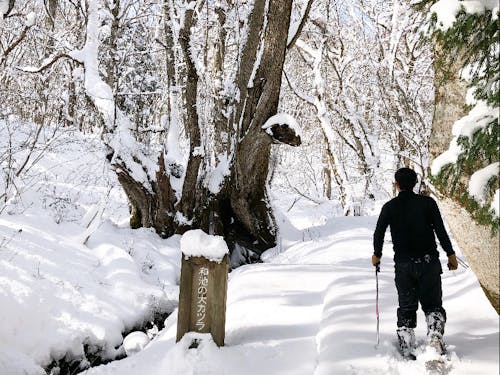 香美町村岡区「たじま高原植物園」山間部には多くの積雪