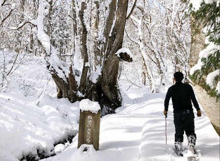 香美町村岡区「たじま高原植物園」山間部には多くの積雪