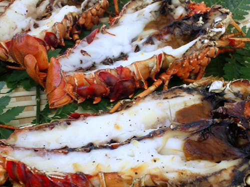 本場の伊勢えびなど豊かな海の幸