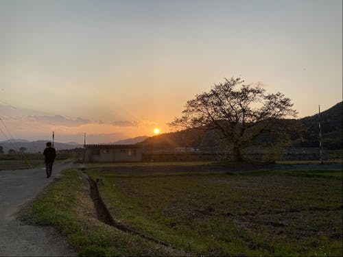 近所の風景、家の前の川には蛍がたくさんやってきます。