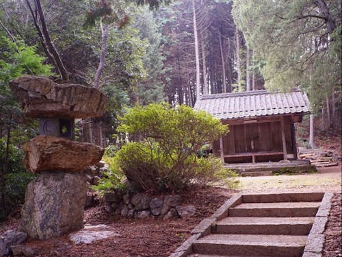 近所のパワースポット