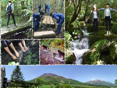 ▲B2Bでのビジネスモデルが確立した森林セラピー