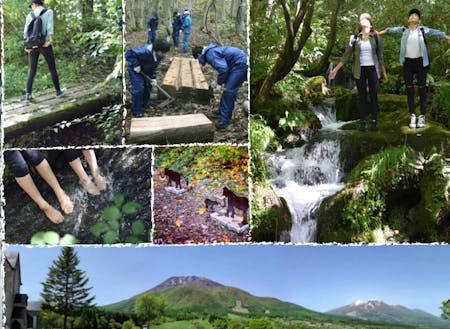 ▲B2Bでのビジネスモデルが確立した森林セラピー