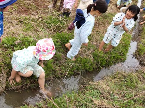 豊かな自然とのふれあいがあなたのすぐ傍にあります。