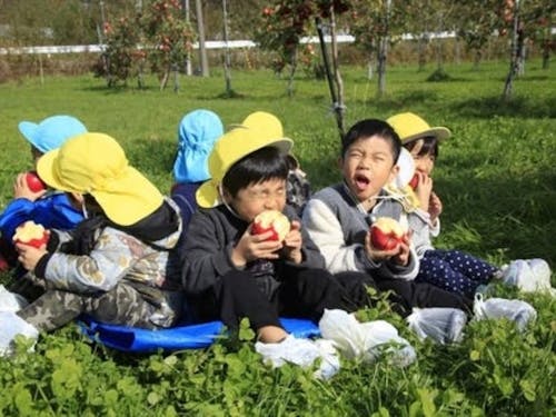 子供たちにも人気のリンゴ狩り。