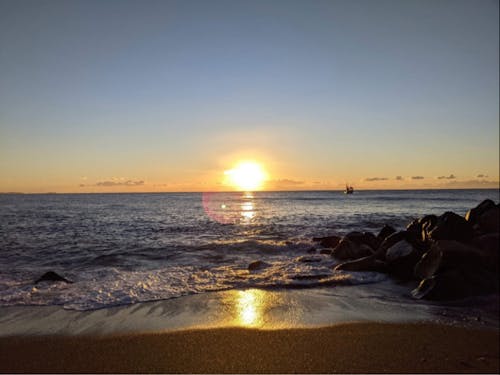 大好きな海で見た、綺麗な初日の出(吉田さん提供)。