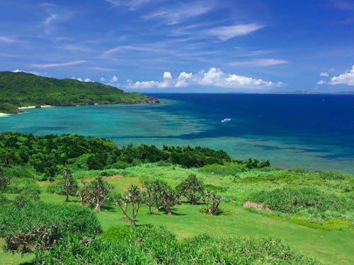 山と海がダイナミックな石垣島