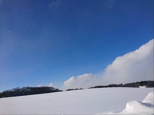 この地にフォルケホイスコーレがぴったりだと思うんです。一緒に創りませんか？