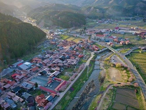 早朝、春のがいせん桜通りと村中心部。春は桜、夏は新緑、秋は紅葉、冬は雪景色と、四季豊かな景色がのぞめます。(ドローンでの撮影風景、提供:Ojiro Sky.)