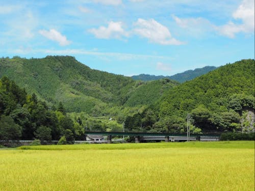 海・山・島・街と様々なライフスタイルのある愛媛県。決め手は自然環境?子育て環境?お仕事内容?それとも地域の人柄?
