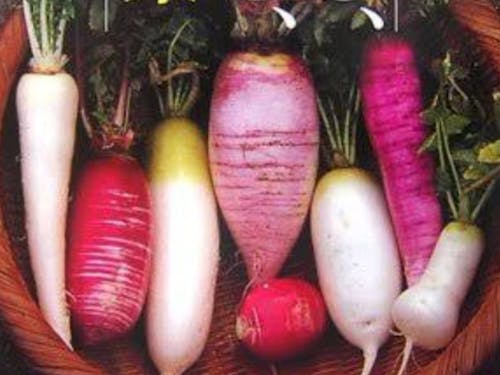 有機農法を学び、体験