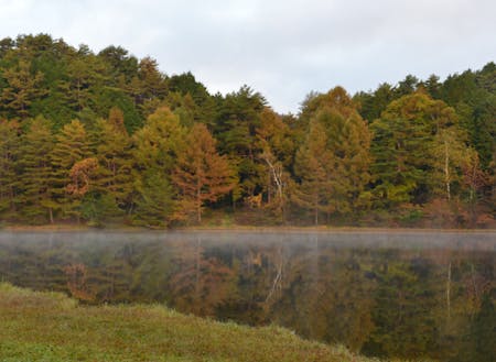 秋の千代田湖