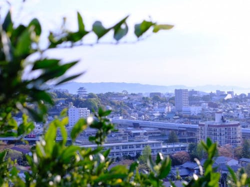 テレワーク×交通の利便性