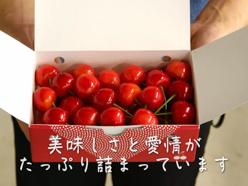 おいしさ(愛情)いっぱい~