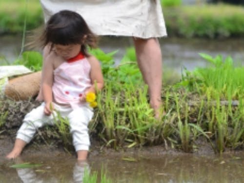 雲南市の風景②
