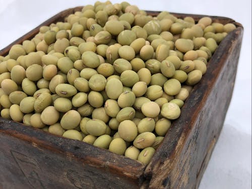 八鹿浅黄(ようかあさぎ)