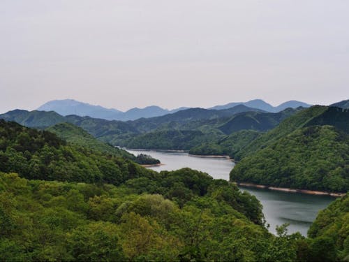 里山資本主義の舞台にもなったLivingAnywhere Commons真庭