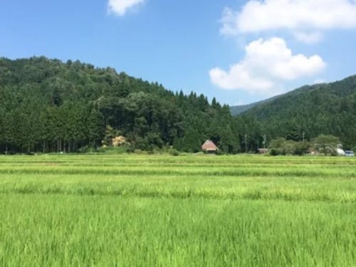 田んぼが広がる自然豊かな土地