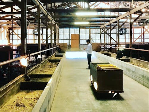 農場は社員全員で管理。