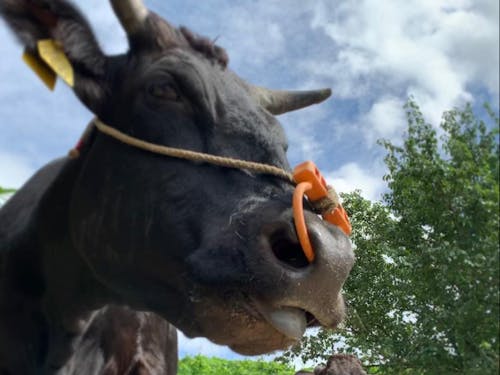 思いを持って一緒に働く方を募集！