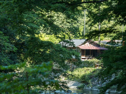 川沿いの家でコーヒーブレイク