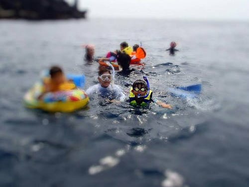 うちの子どもたちとも仲良くなってくれると嬉しいです!