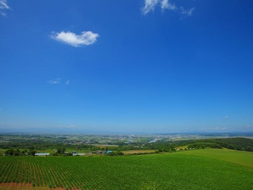 市街地を抜けるとこんな景色が広がります