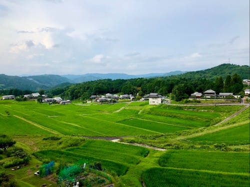 とにかく緑がきれい!!