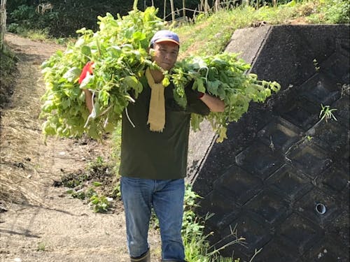 昨年度は2期協力隊の3名が卒業し、現在も地域に定住しています
