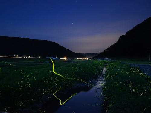 塾のフィールドとなる真庭市北房地区は「日本一のホタル」や「コスモスの里」としても有名。